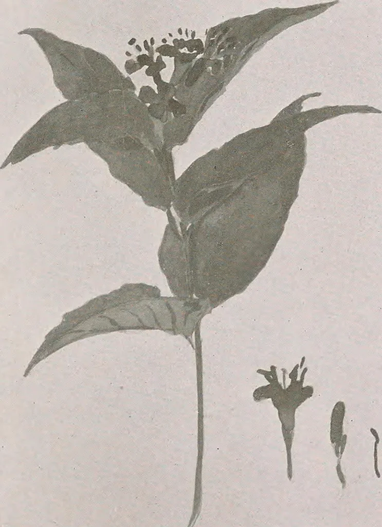 An illustration from Keramic studio, 1899, leaf 308