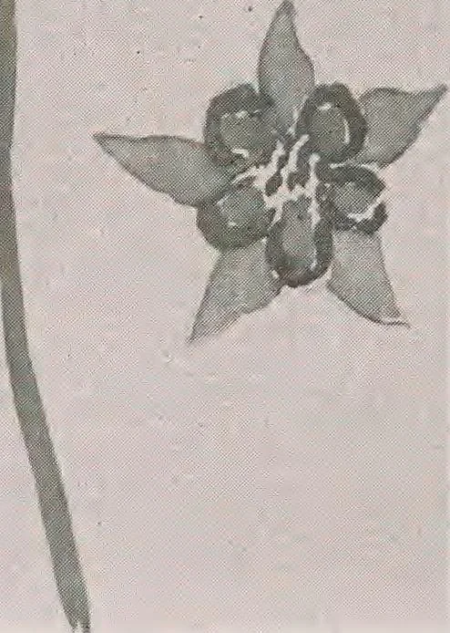An illustration from Keramic studio, 1899, leaf 309