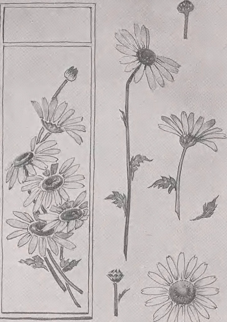 An illustration from Keramic studio, 1899, leaf 315