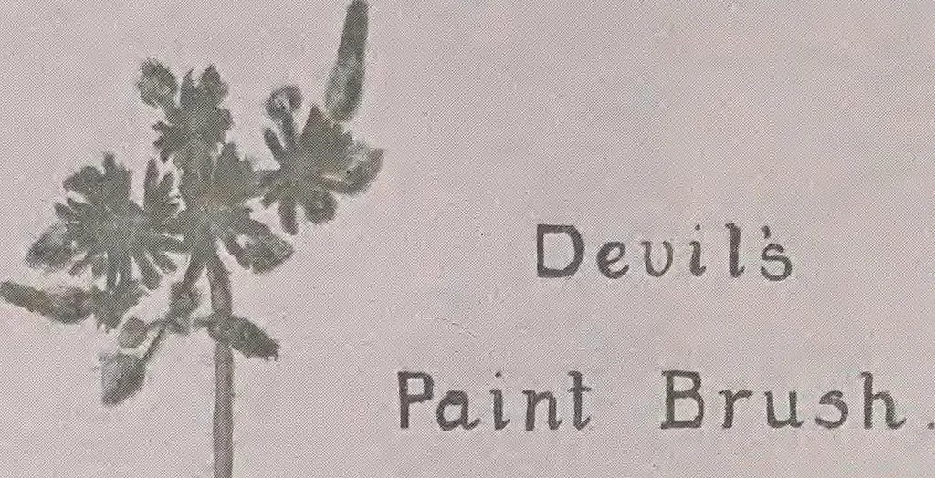 An illustration from Keramic studio, 1899, leaf 317