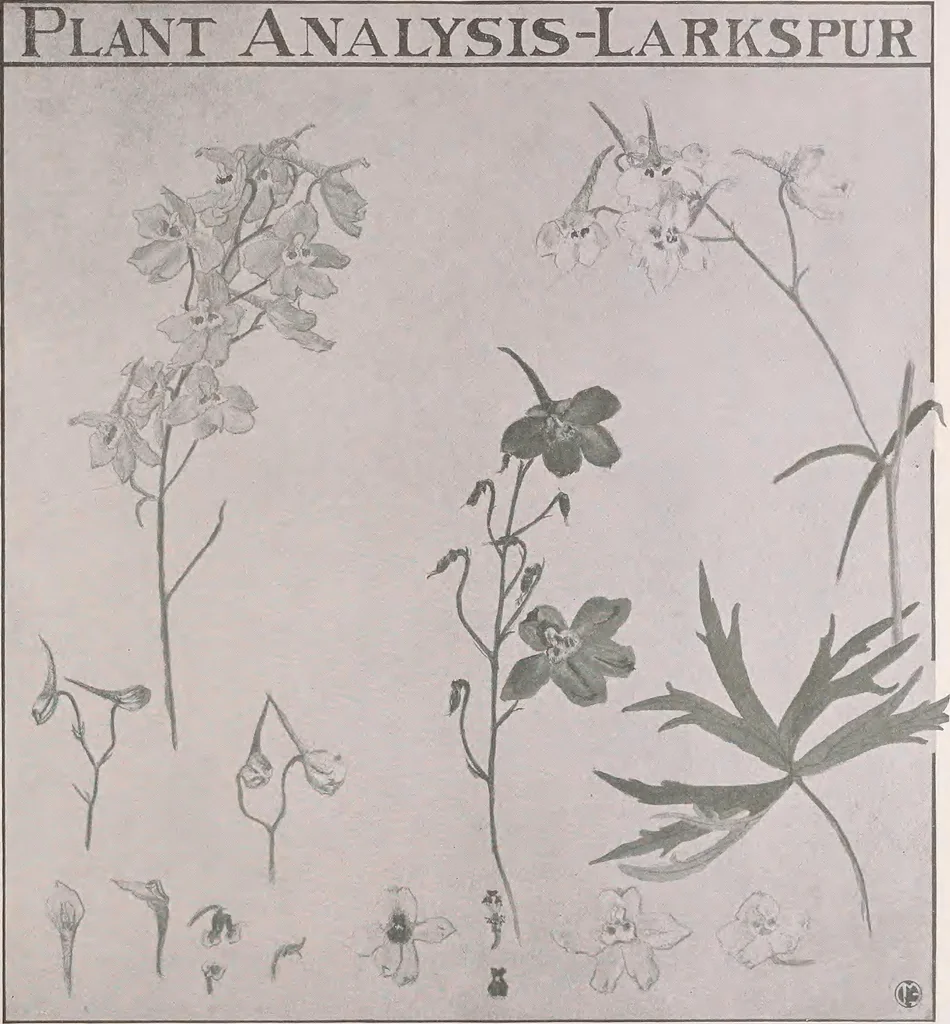 An illustration from Keramic studio, 1899, leaf 318