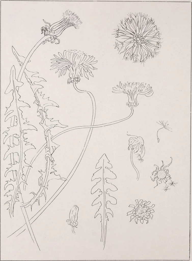 An illustration from Keramic studio, 1899, leaf 319