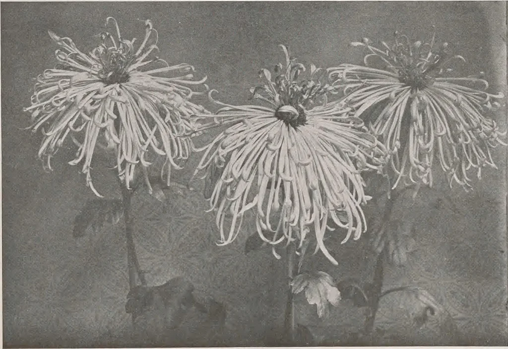 An illustration from Keramic studio, 1899, leaf 324