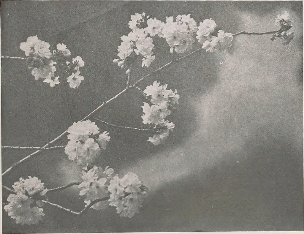 An illustration from Keramic studio, 1899, leaf 326