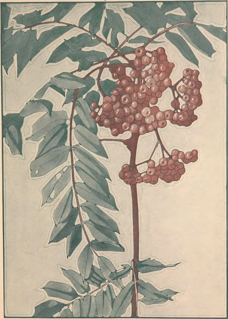 An illustration from Keramic studio, 1899, leaf 330