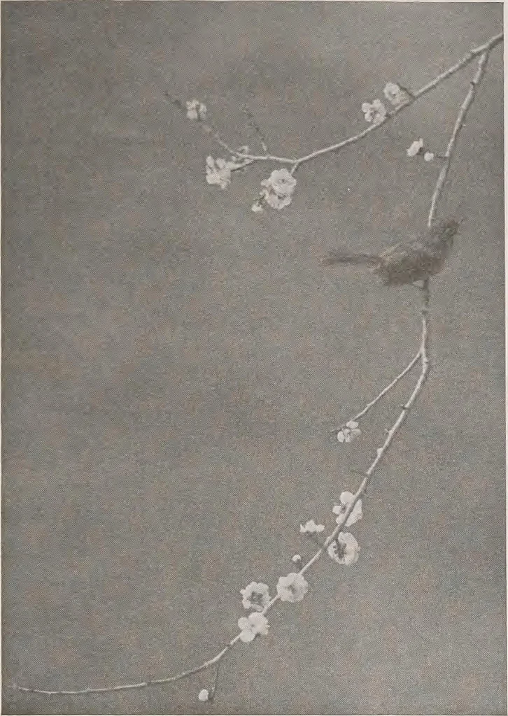 An illustration from Keramic studio, 1899, leaf 332