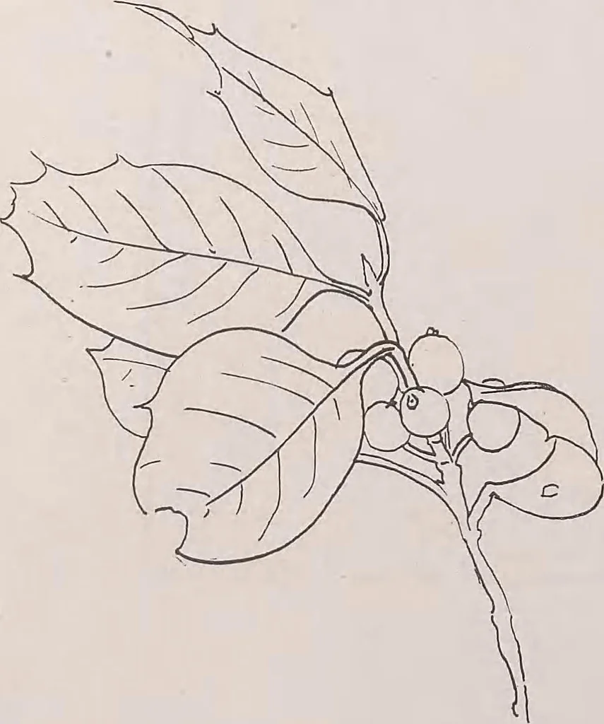 An illustration from Keramic studio, 1899, leaf 337