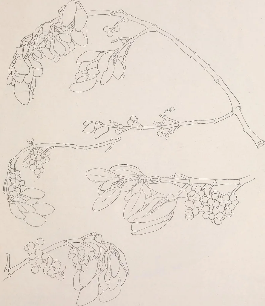 An illustration from Keramic studio, 1899, leaf 346