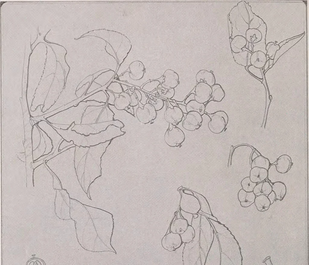 An illustration from Keramic studio, 1899, leaf 353