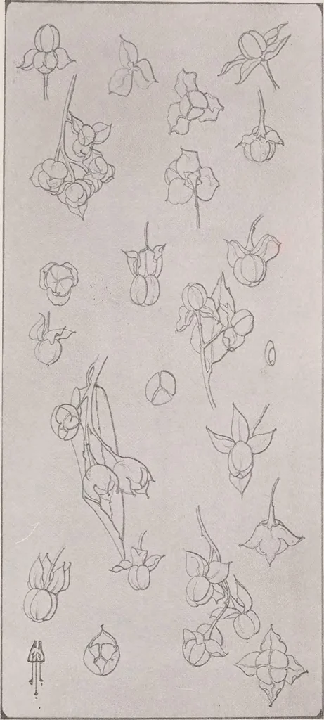 An illustration from Keramic studio, 1899, leaf 355