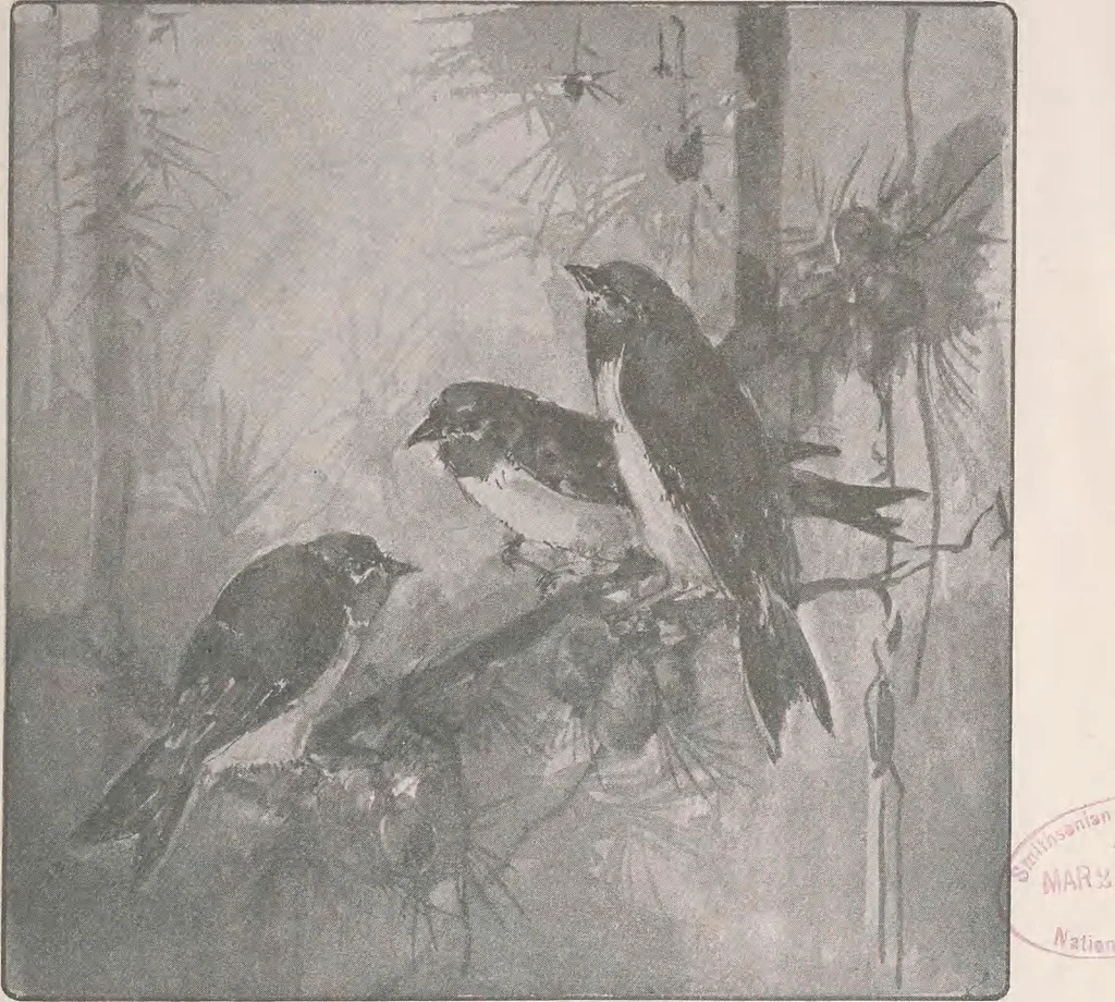 An illustration from Keramic studio, 1899, leaf 376