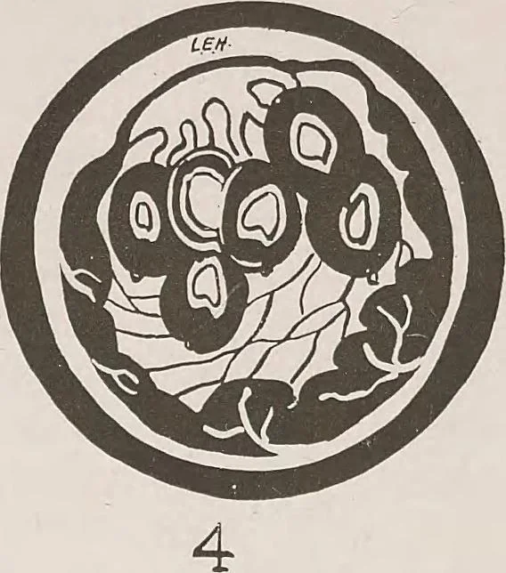 An illustration from Keramic studio, 1899, leaf 87