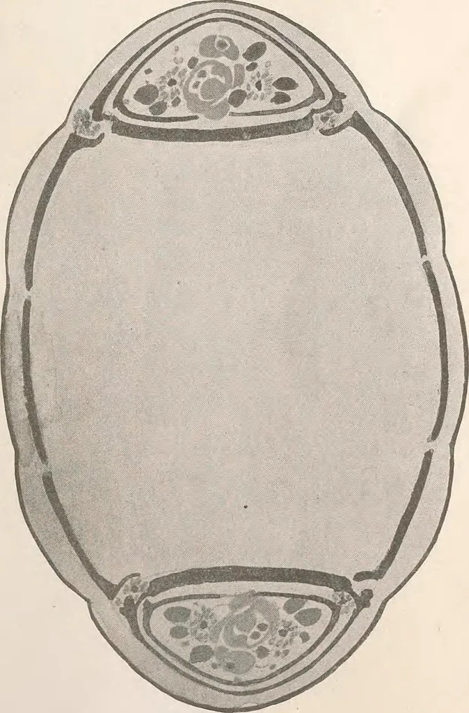 An illustration from Keramic studio, 1899, leaf 134