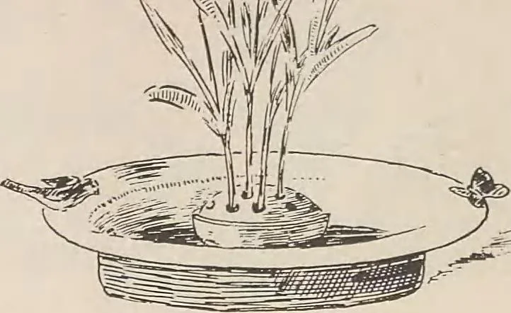 An illustration from Keramic studio, 1899, leaf 143