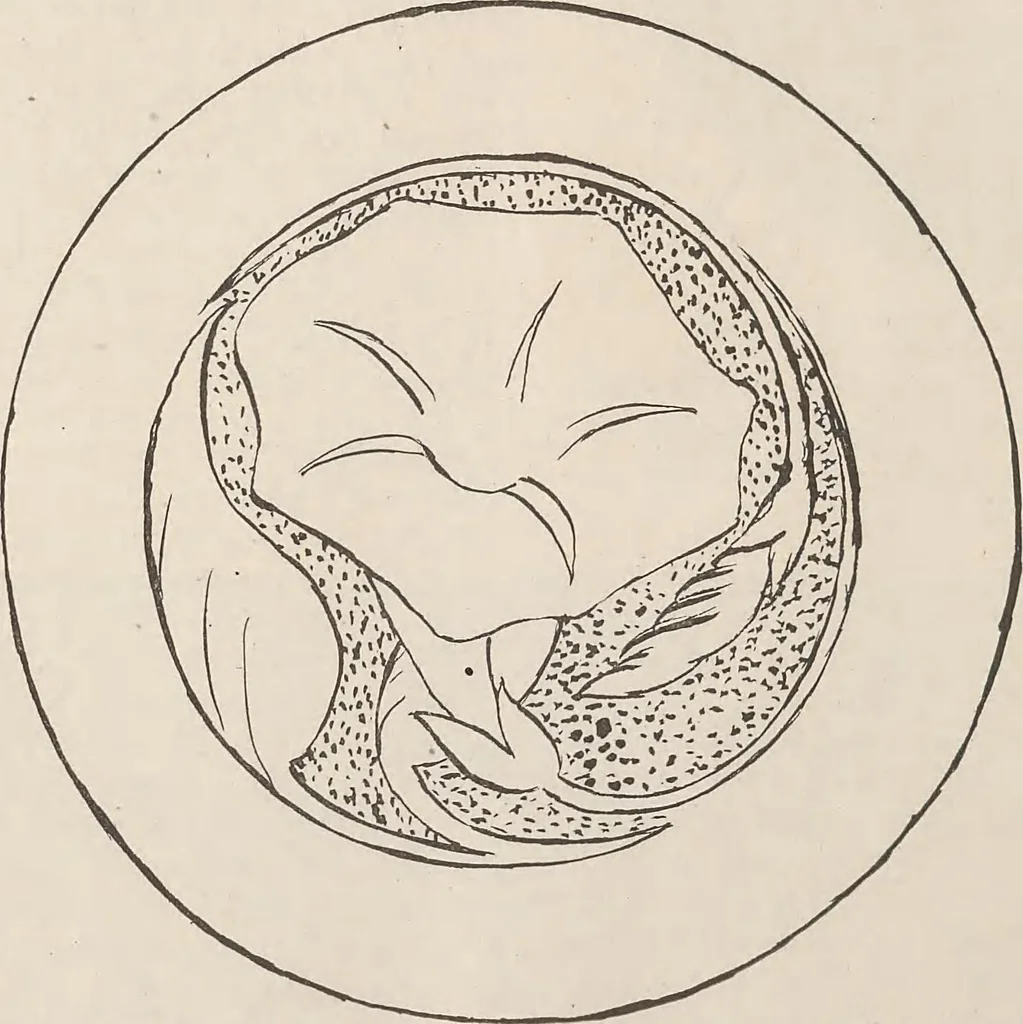 An illustration from Keramic studio, 1899, leaf 167