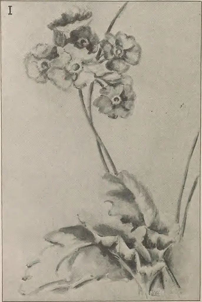 An illustration from Keramic studio, 1899, leaf 187