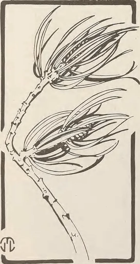 An illustration from Keramic studio, 1899, leaf 311