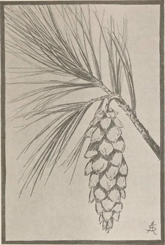 An illustration from Keramic studio, 1899, leaf 312