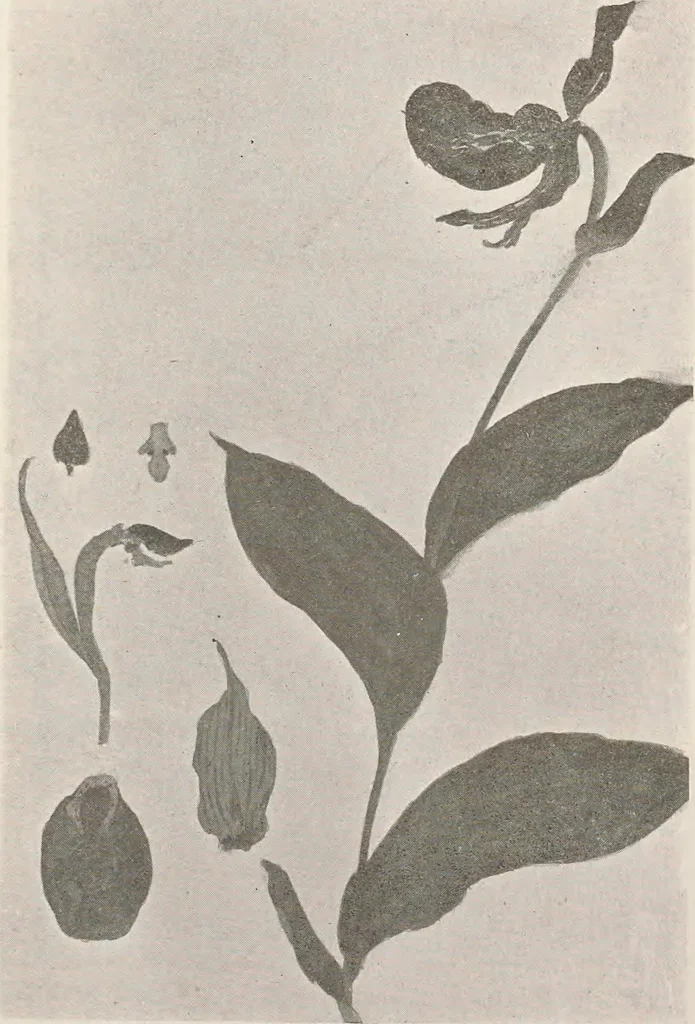 An illustration from Keramic studio, 1899, leaf 321