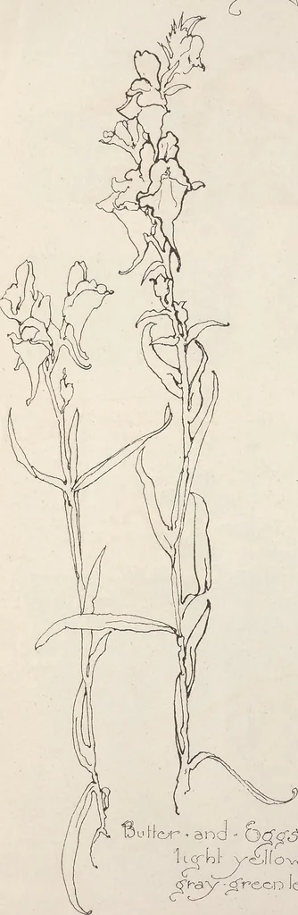 An illustration from Keramic studio, 1899, leaf 327