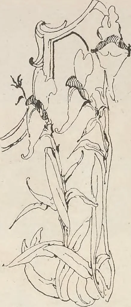 An illustration from Keramic studio, 1899, leaf 327