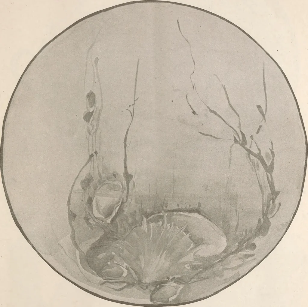 An illustration from Keramic studio, 1899, leaf 330