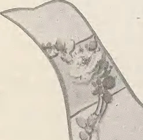 An illustration from Keramic studio, 1899, leaf 331
