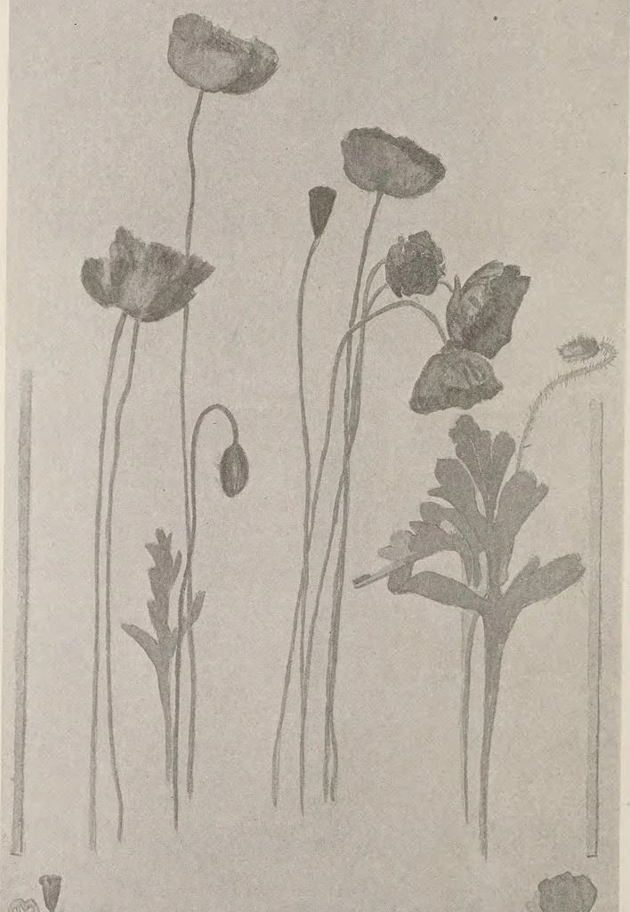 An illustration from Keramic studio, 1899, leaf 351