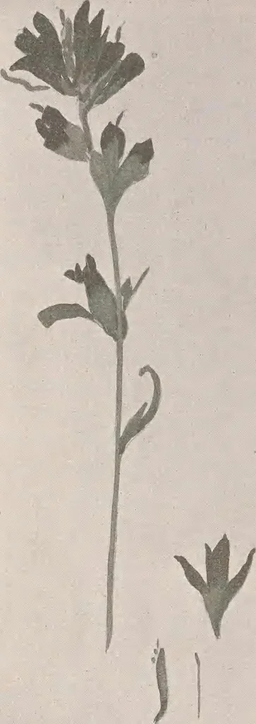 An illustration from Keramic studio, 1899, leaf 353