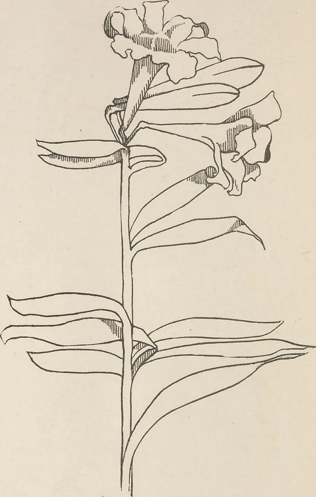An illustration from Keramic studio, 1899, leaf 359