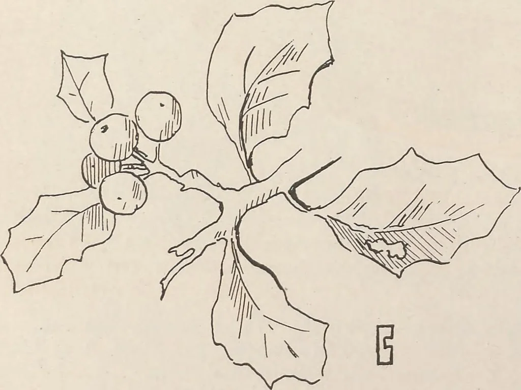 An illustration from Keramic studio, 1899, leaf 359