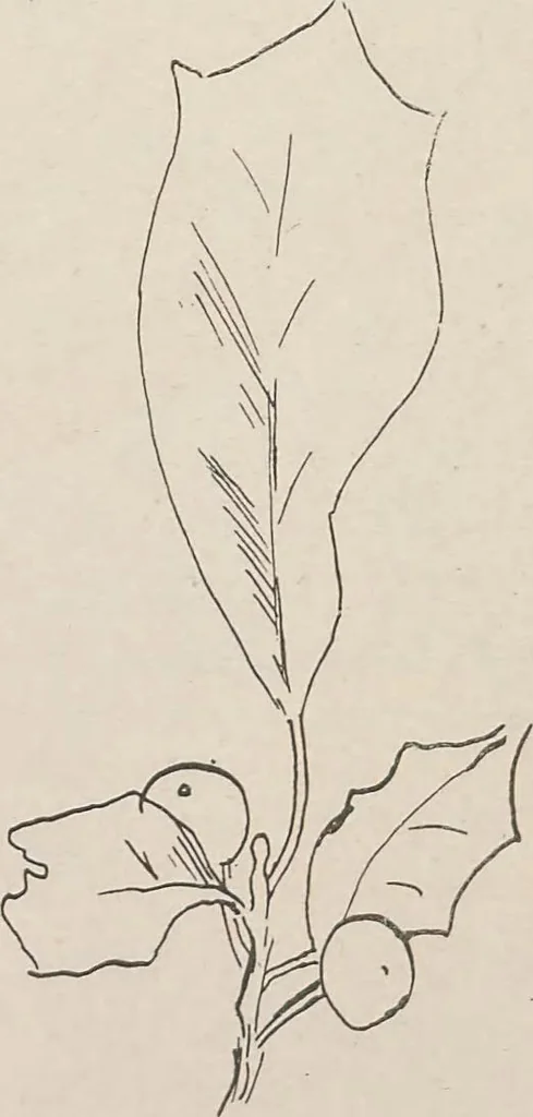 An illustration from Keramic studio, 1899, leaf 359