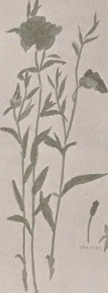 An illustration from Keramic studio, 1899, leaf 369