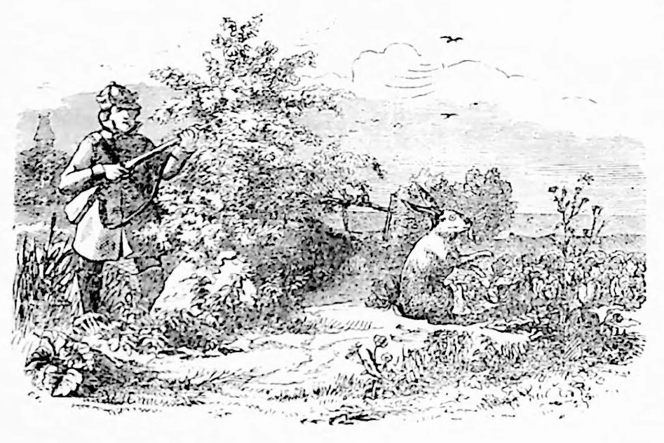 An illustration from Illustriertes Kinderspielbuch, 1890, leaf 157