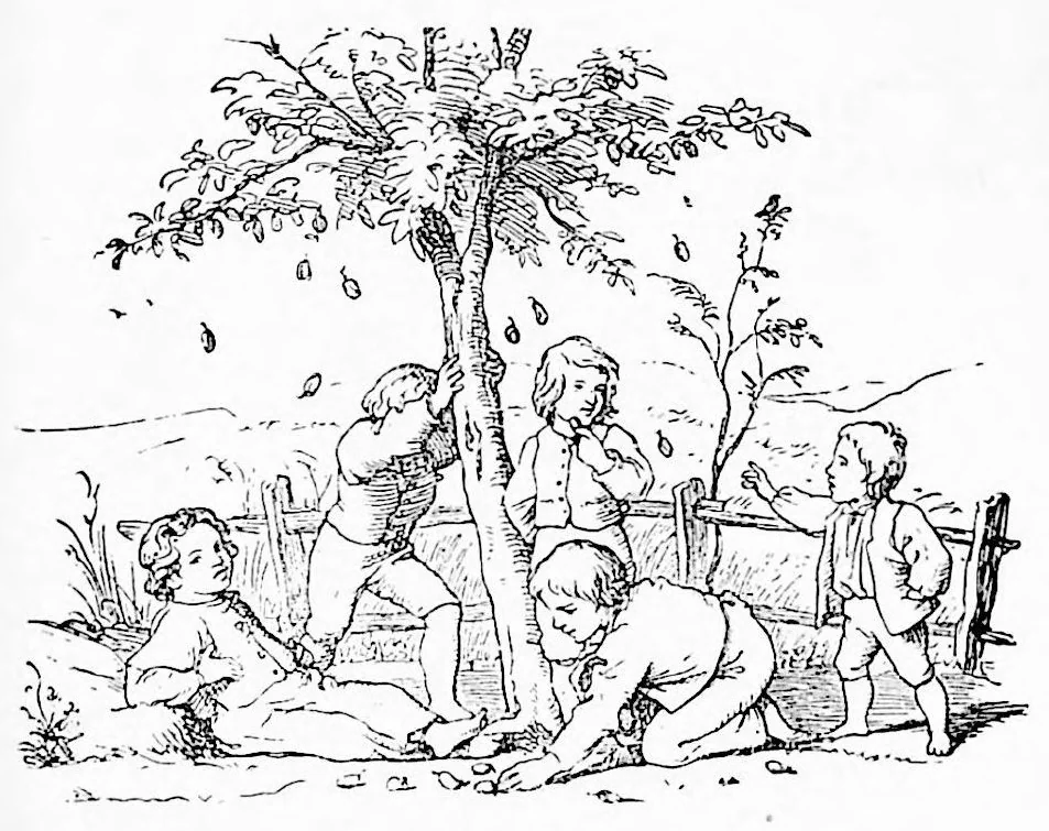 An illustration from Illustriertes Kinderspielbuch, 1890, leaf 248