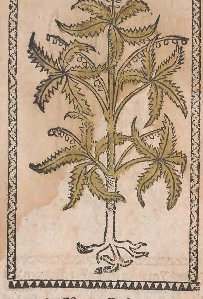 An illustration from Kleines Distillierbuch, 1500, leaf 103