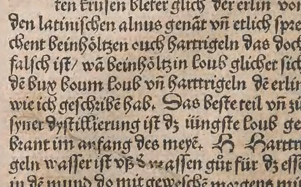 An illustration from Kleines Distillierbuch, 1500, leaf 106