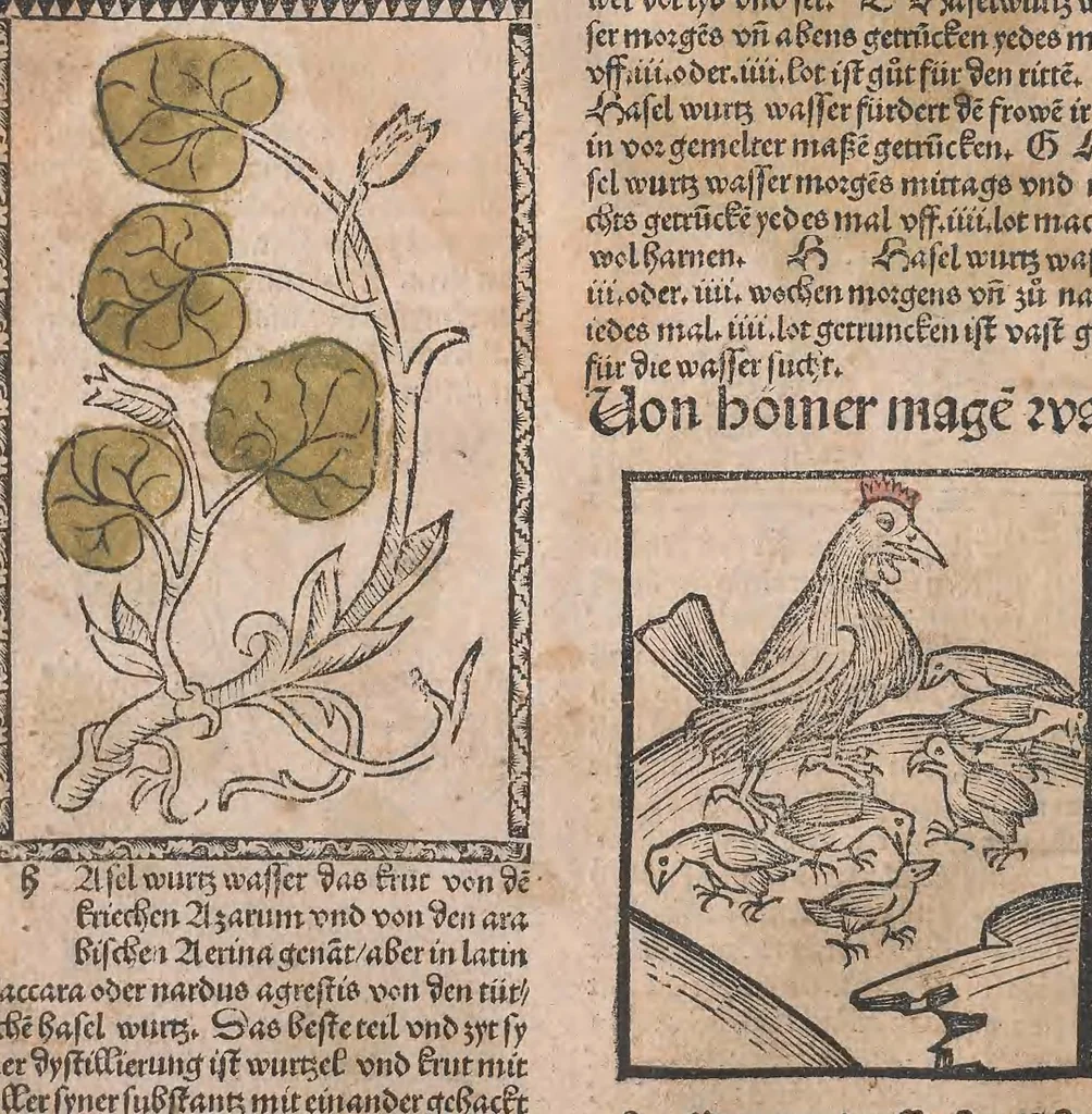 An illustration from Kleines Distillierbuch, 1500, leaf 108