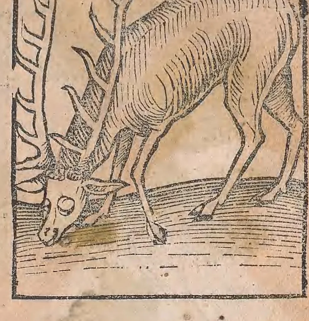 An illustration from Kleines Distillierbuch, 1500, leaf 111