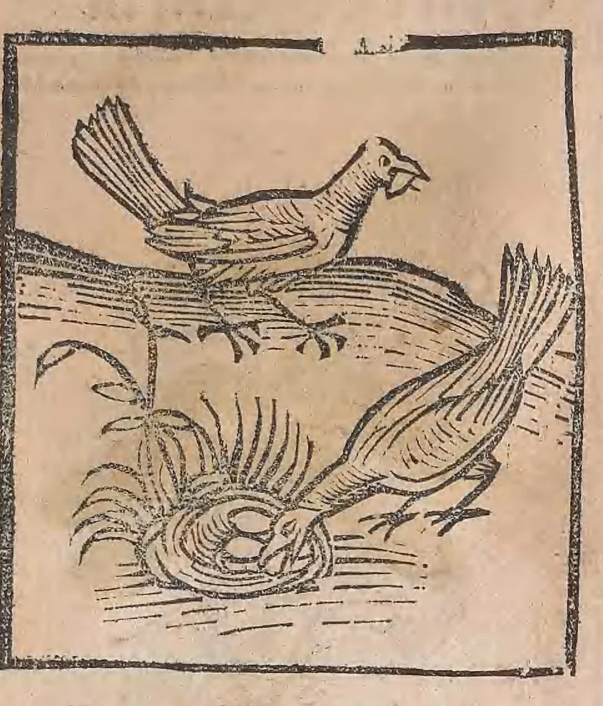 An illustration from Kleines Distillierbuch, 1500, leaf 111
