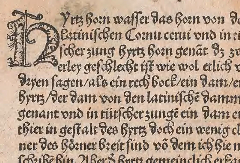 An illustration from Kleines Distillierbuch, 1500, leaf 111