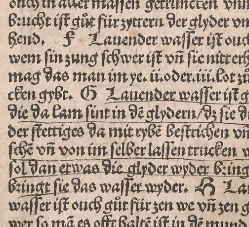An illustration from Kleines Distillierbuch, 1500, leaf 135