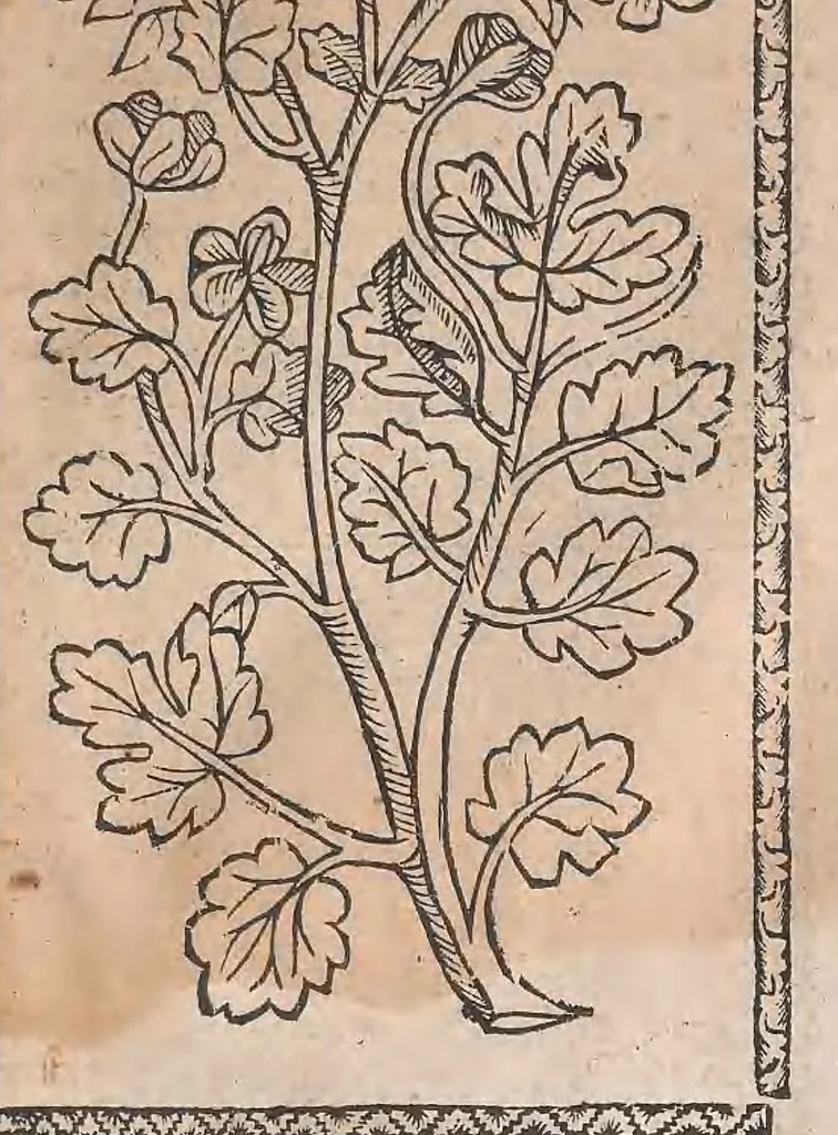 An illustration from Kleines Distillierbuch, 1500, leaf 187