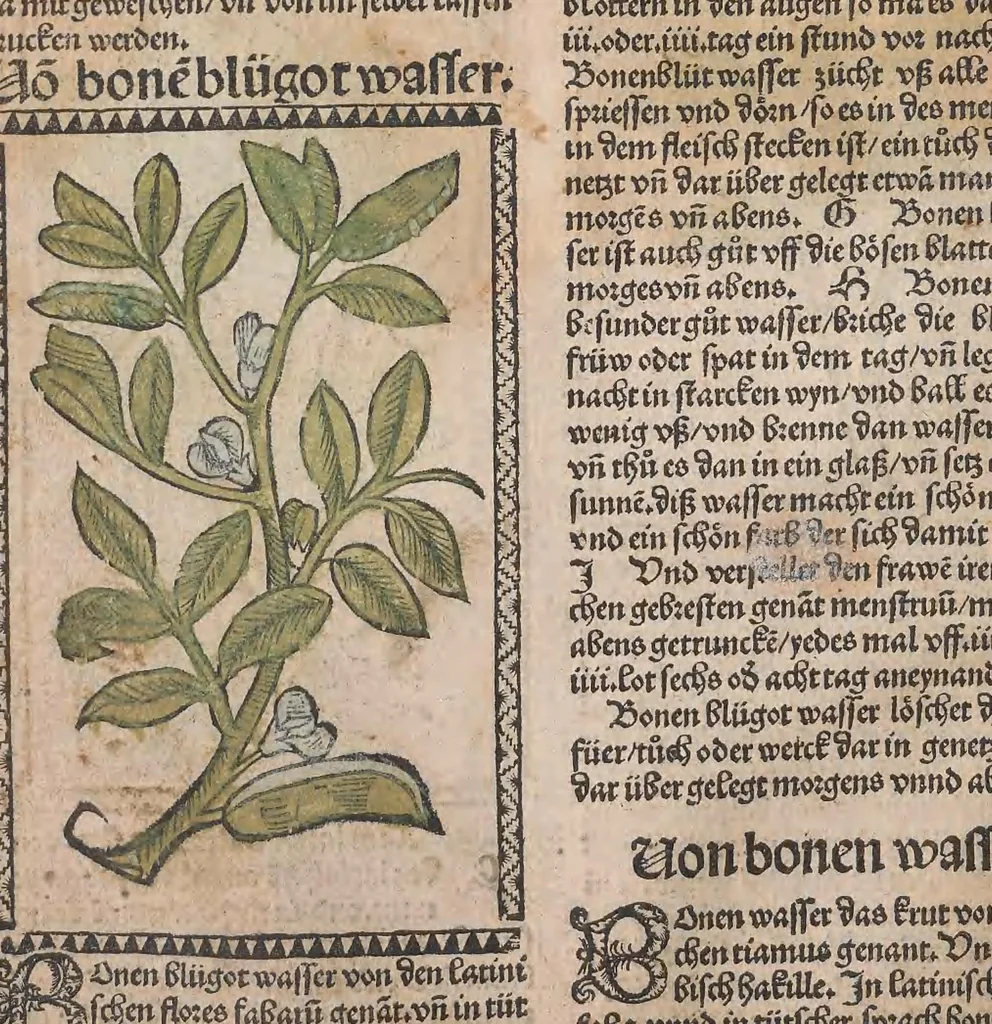 An illustration from Kleines Distillierbuch, 1500, leaf 60