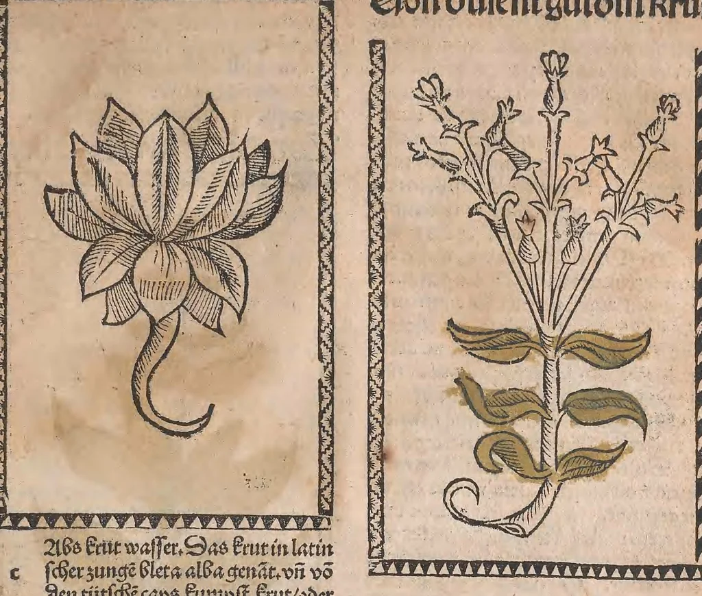 An illustration from Kleines Distillierbuch, 1500, leaf 83