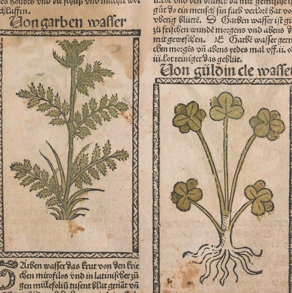 An illustration from Kleines Distillierbuch, 1500, leaf 99