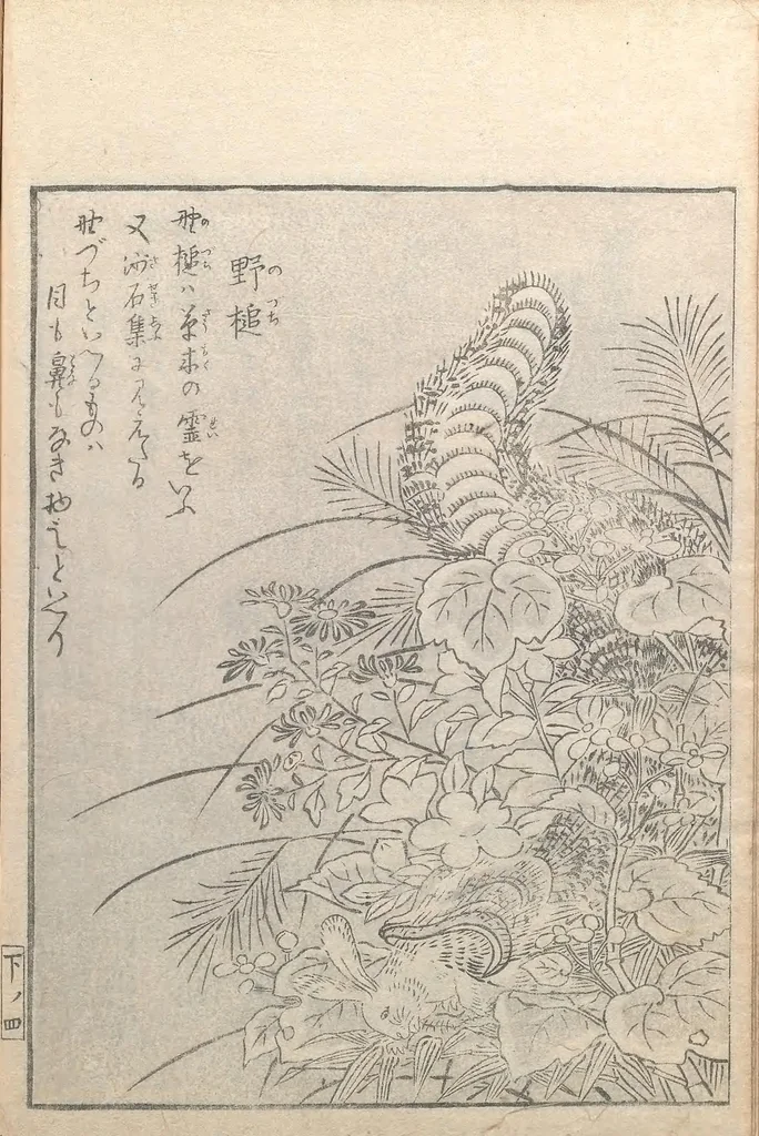 An illustration from Konjaku zoku hyakki, 1805, leaf 10
