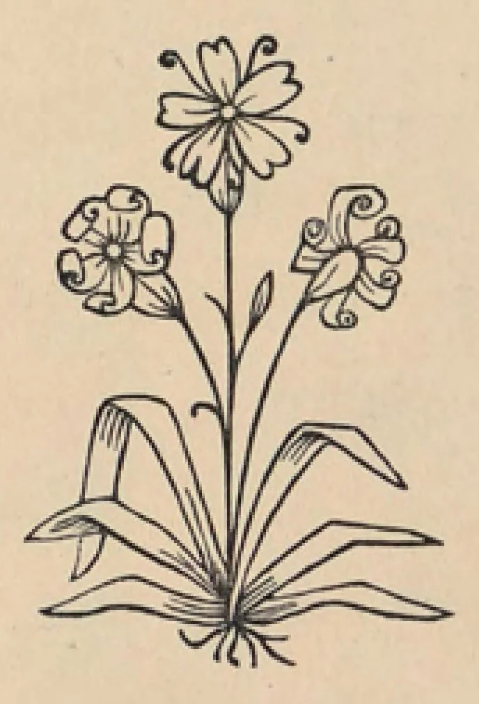 An illustration from Old point lace and how to copy and imitate it, 1878, leaf 16
