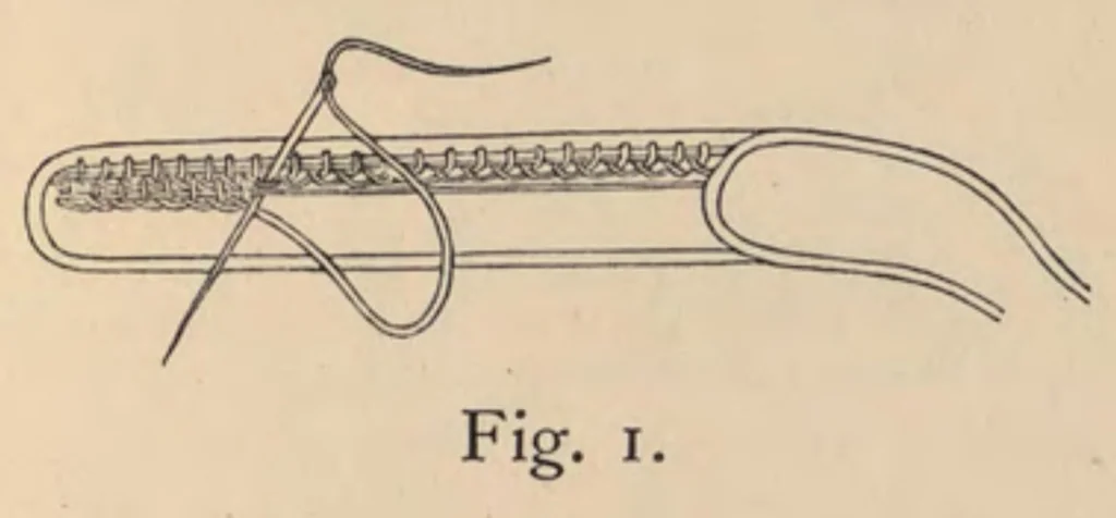 An illustration from Old point lace and how to copy and imitate it, 1878, leaf 20