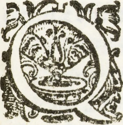An illustration from Rime degl'illvstrissimi sig. academici Eterei. All'illustriss. & reuerendiss . sig. il signor Cardinale Scipione Gonzaga ... (1588), 1588, leaf 89